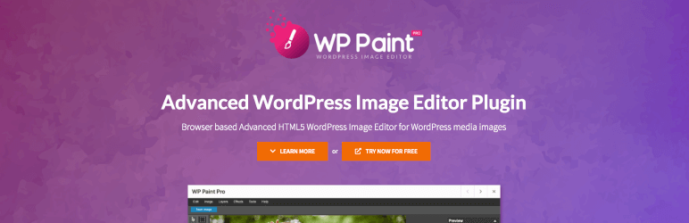 WP Paint Image Editor Plugin