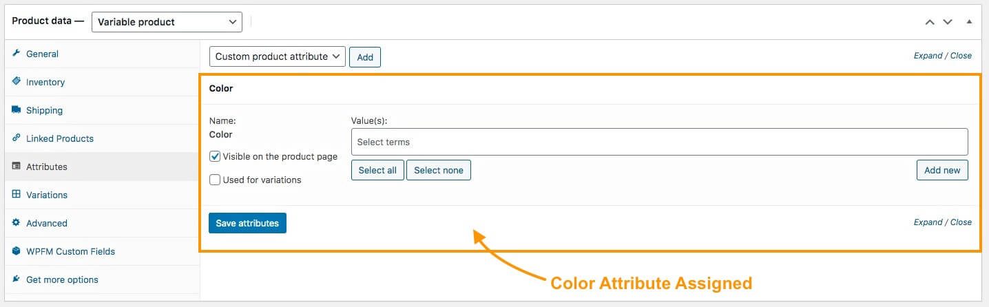 Editing An Existing Term of The Attribute